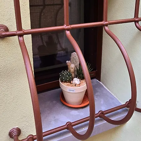 Il Vicolo Dell'orto